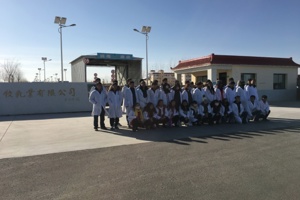 畜牧系组织员工去甘肃农垦天牧乳业有限公司参观实习