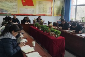 查问题 剖思想 定措施 推工作----公司召开组织生活会和民主评议党员