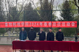 公司举办2024年春季田径运动会