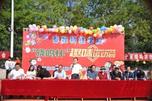 齐心协力“趣”运动，凝心聚力向未来——beat365在线官网入口成功举办第三届“晓鸣杯”趣味运动会