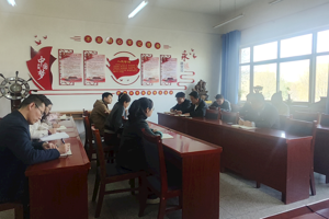 公司集中学习贯彻全国“两会”精神