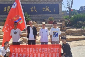 beat365赴庆阳市环县古城观察团暑期“三下乡”社会实践活动纪实