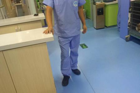 付彩平，2017年毕业于畜牧专业（特种动物养殖方向），北京宝来福动物医院宠物美容师，月收入5500元——6500元。